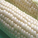 200pcs / bolsas semillas de maíz, dulce rico en blanco, semillas de granos sin GMO para plantar jardín yarda al aire libre Semillas de maíz Foto, mejor precio 3,70 € nuevo 2024