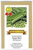 Zuckererbse - Sugar Bon - 50 Samen Foto, bester Preis 1,80 € neu 2024
