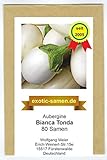 Aubergine - weiß - rund - italienisch - mittelfrüh - Bianca Tonda - 80 Samen Foto, bester Preis 2,39 € neu 2024