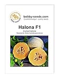 Melonensamen Halona F1 Zuckermelone Portion Foto, bester Preis 2,30 € neu 2024