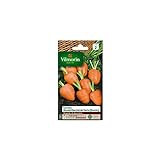 La bolsa de semillas de zanahoria Ronda Mercado París Foto, mejor precio 5,85 € nuevo 2024
