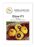 Glow F1 Kürbissamen von Bobby-Seeds, Portion Foto, bester Preis 2,75 € neu 2024