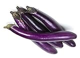 Eggplant Seeds for Planting Vegetables and Fruits(Ping Tung Long Purple Eggplant)for Home Vegetable Garden.Non GMO Heirloom Garden Seeds for Planting Vegetables-50 Ping Tung Long Veggie Seeds屏东茄 Photo, best price $1.97 ($0.00 / Count) new 2024