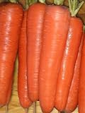 Seed Kingdom Carrot Tendersweet Great Heirloom Vegetable Seeds (5,000 Seeds) Photo, best price $3.95 new 2024