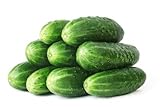 50 Straight Eight Cucumber Seeds - Heirloom Non-GMO USA Grown Vegetable Seeds for Planting - Pickling and Slicing Cucumber Photo, best price $4.99 ($0.10 / Count) new 2024