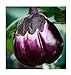 Foto Aubergine Violetta di Firenze - Eierfrucht - 20 Samen