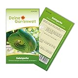 Freilandsalatgurke Chinese Slangen Samen - Cucumis sativus - Gurkesamen - Gemüsesamen - Saatgut für 10 Pflanzen Foto, bester Preis 1,99 € (0,20 € / stück) neu 2024