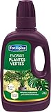 Fertiligène Engrais Plantes Vertes, 400 ML Photo, meilleur prix 5,90 € (14,75 € / l) nouveau 2024