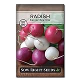 Sow Right Seeds - Easter Egg Radish Seed for Planting - Non-GMO Heirloom Packet with Instructions to Plant and Grow an Indoor or Outdoor Home Vegetable Garden - Easy to Grow - Great Gardening Gift Photo, best price $4.99 new 2024
