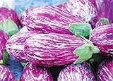 200 Pcs Eggplant Seeds Striped Long Heirloom Vegetable Seed Photo, best price $7.90 ($0.04 / Count) new 2024
