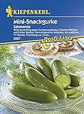 Gurkensamen - Salatgurke Salamanda von Kiepenkerl Foto, bester Preis 3,95 € neu 2024