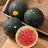 David's Garden Seeds Fruit Watermelon Moon & Stars 5547 (Red) 50 Non-GMO, Heirloom Seeds Photo, best price $3.45 new 2024