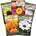 Photo Sow Right Seeds - Flower Seed Garden Collection for Planting - 5 Packets Includes Marigold, Zinnia, Sunflower, Cape Daisy, and Cosmos - Wonderful Gardening Gift