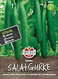 80900 Sperli Premium Gurken Samen Saladin | Schlangengurken Samen | Gurkensamen Gewächshaus | Samen Gurke | Salatgurken Samen Foto, bester Preis 4,97 € neu 2024