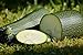 Photo Lot de 25 Graines de Courgette-Courge Verte Petite D'alger - Variété Ancienne - hâtive et productive - fruits vert clair, plante non coureuse mais port buissonnant - semences reproductibles,