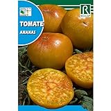 Semillas de Tomate ananas Foto, mejor precio 1,62 € nuevo 2024