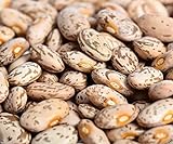 Pinto Beans Seeds, the Most Common Bean in the US 100 Seeds Heirloom ! Photo, best price $4.20 ($0.04 / Count) new 2024