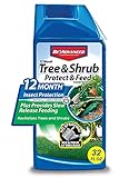 BioAdvanced 701901 12-Month Tree and Shrub Protect and Feed Insect Killer and Fertilizer, 32-Ounce, Concentrate Photo, best price $21.98 new 2024