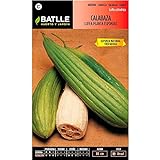 ScoutSeed Batlle semillas de hortalizas - calabaza Luffa (semillas) Foto, mejor precio 9,92 € nuevo 2024