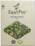 SaatPur Thai-Basilikum Samen für ca. 150 Pflanzen Foto, bester Preis 3,99 € neu 2024