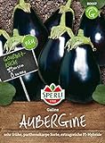 80667 Sperli Premium Aubergine Samen Galine | Frühe Sorte | Ertragreich | Aubergine Saatgut | Auberginen Samen Foto, bester Preis 3,38 € neu 2024