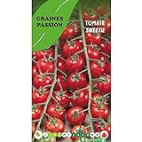 Graines passion sachet de graines Tomate Sweetie Photo, meilleur prix 4,80 € (4 800,00 € / kg) nouveau 2024