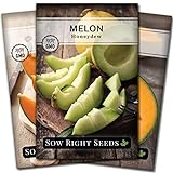 Sow Right Seeds - Cantaloupe Fruit Seed Collection for Planting - Individual Packets Honey Rock, Hales Best and Honeydew Melon, Non-GMO Heirloom Seeds to Plant an Outdoor Home Vegetable Garden… Photo, best price $9.99 new 2024