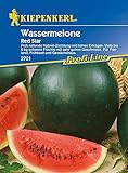 Melonen Wassermelone Red Star F1 Foto, bester Preis 5,24 € (5,24 € / Stück) neu 2024