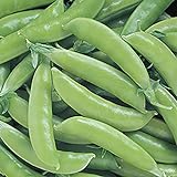 Park Seed Super Sugar Snap Pea Seeds Photo, best price $6.50 new 2024
