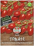 Sperli Premium Tomaten Samen Ravello ; Mini San Marzano ; Cherrytomaten ; Tomaten Saatgut Foto, bester Preis 5,77 € neu 2024
