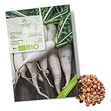 BIO Rettich Samen (Japanischer Daikon) - Rettich Saatgut aus biologischem Anbau ideal für die Anzucht im Garten, Balkon oder Terrasse Foto, bester Preis 4,90 € neu 2024