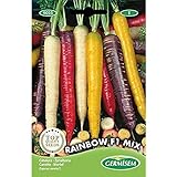 Germisem Rainbow F1 Mix Semillas de Zanahoria 1 g, EC9025 Foto, mejor precio 3,68 € nuevo 2024