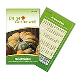 Muskatkürbis Muscade de Provence Samen - Cucurbita moschata - Muskatkürbissamen - Gemüsesamen - Saatgut für 7 Pflanzen Foto, bester Preis 2,19 € (0,31 € / stück) neu 2024