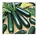 Photo David's Garden Seeds Zucchini Black Beauty 1454 (Green) 50 Non-GMO, Heirloom Seeds