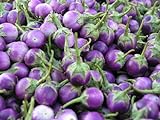 Purple Thai Mini Round Aubergine 30 ++ Graines Photo, meilleur prix 10,98 € nouveau 2024