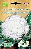 Germisem Bio Graines Chou-fleur Merveille de toutes saisons ALL THE YEAR ROUND Photo, meilleur prix 6,76 € nouveau 2024