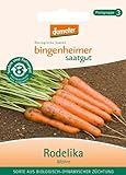 Bingenheimer Saatgut - Möhre Rodelika - Gemüse Saatgut / Samen Foto, bester Preis 5,63 € neu 2024