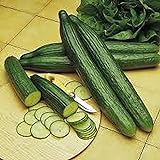 Cucumber, Long Green Improved Seeds, Non-GMO, 25 Seeds per Package,Long Green Improved Cucumber is a Strong, Vigorous Producer . Jacobs Ladder Ent. Photo, best price $1.99 ($1.99 / Count) new 2024