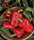 Burpee Great Stuff Sweet Pepper Seeds 40 seeds Photo, best price $7.65 ($0.19 / Count) new 2024