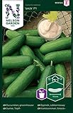 Minigurken Samen Iznik F1 - Nelson Garden Gemüsesamen - Snackgurken Samen Saatgut (4 Stück) (Gurke, Topf-, Iznik F1, Einzelpackung) Foto, bester Preis 4,95 € neu 2024