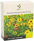 mgc24® Sommerblumenmischung - Blumenmischung für nützliche Insekten ein- & mehrjährig 100g für 100m² Foto, bester Preis 5,99 € (59,90 € / kg) neu 2024