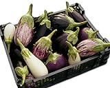 Eggplant Garden Blend 325 Eggplant Seeds +1 Plant Marker - Excellent Varieties Photo, best price $5.00 new 2024