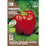 Semillas ecológicas de pimiento quadrato d'asti rosso Foto, mejor precio 1,85 € nuevo 2024