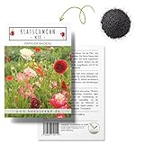 Klatschmohn Samen (Papaver rhoeas) - Wunderschön blühende Mohnblumen mit langer Blütezeit für eine bunte Blumenwiese (Mix) Foto, bester Preis 4,90 € neu 2024