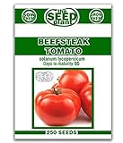 Beefsteak Tomato Seeds - 250 Seeds Non-GMO Photo, best price $1.79 new 2024