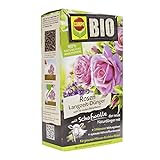 Compo BIO Rosen Langzeit-Dünger für alle Arten von Rosen, Blütensträucher sowie Schling- und Kletterpflanzen, 5 Monate Langzeitwirkung, 2 kg Foto, bester Preis 9,15 € (4,58 € / kg) neu 2024