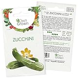 Zucchini Samen: Premium Zucchini Saatgut für die Anzucht von ca. 5 Zucchini Pflanzen – Samenfeste Gemüse Samen – Samen Gemüse – Gemüse Pflanzen Samen für Gemüse Anzucht – Gemüse Saatgut von OwnGrown… Foto, bester Preis 2,35 € neu 2024