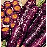 Purple Dragon Carrots Seeds (25+ Seeds)(More Heirloom, Organic, Non GMO, Vegetable, Fruit, Herb, Flower Garden Seeds (25+ Seeds) at Seed King Express) Photo, best price $4.69 new 2024