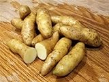 MITRAEE 100 Banana Fingerling Potato Vegetable Seeds Photo, best price $9.50 new 2024
