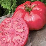 Burpee 'Caspian Pink' Heirloom | Large Pink Beefsteak Slicing Tomato | 30 Seeds Photo, best price $6.13 ($0.20 / Count) new 2024